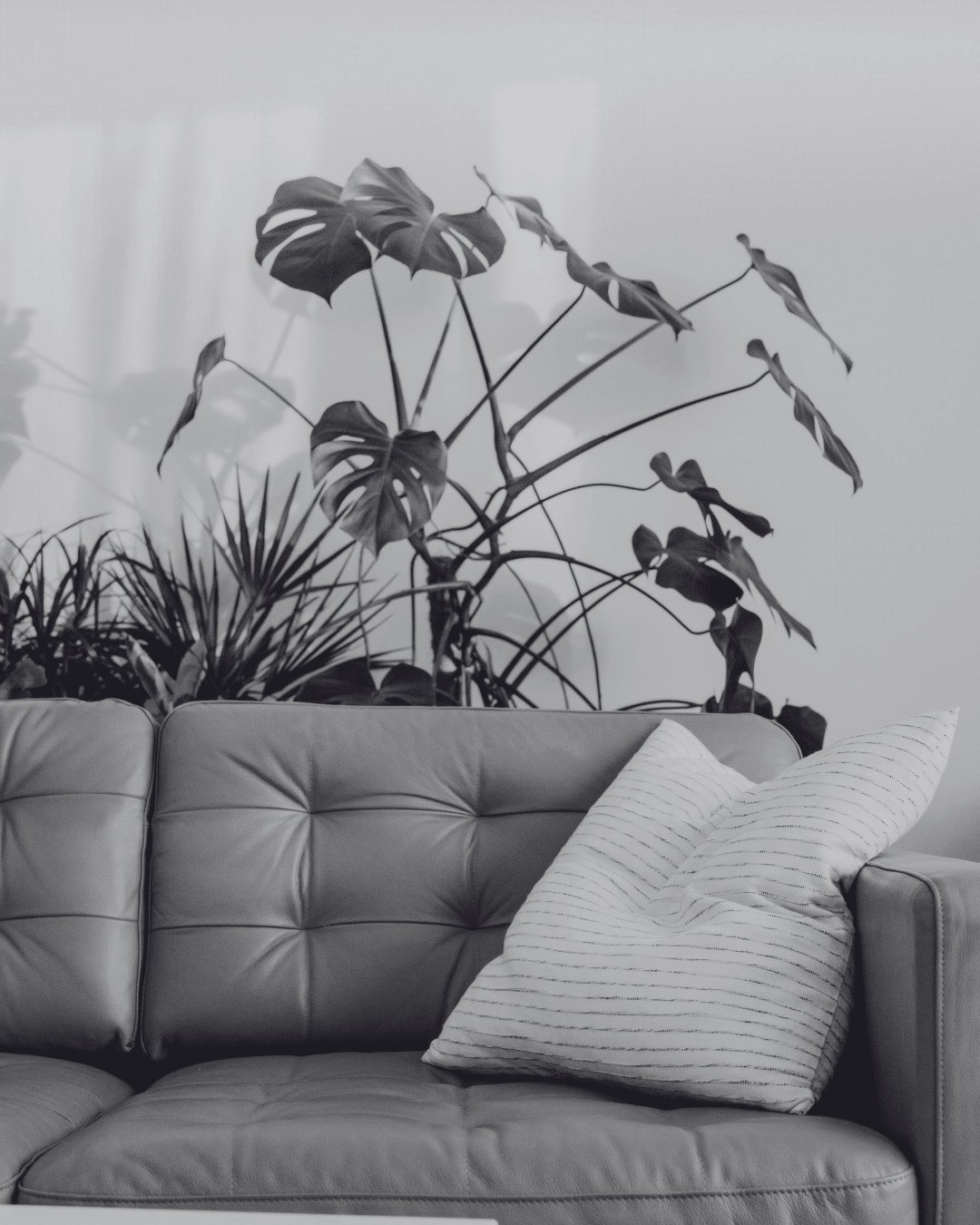 ACT therapy frequently asked questions